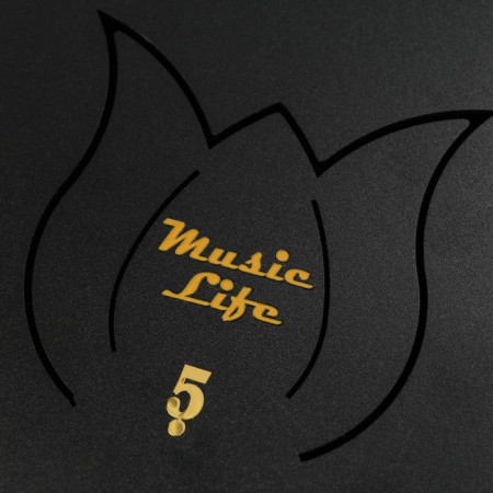 Musical instrument glucophone, black, 13 petals, 30 cm-4