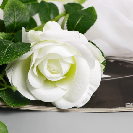 Artificial flowers "Webly rose" d-10 cm 67 cm, white-1