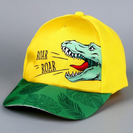 Children's cap for the boy Roar Roar, yellow color, rr 54-2