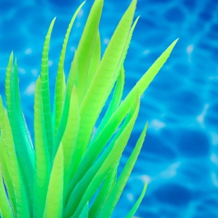The plant is artificial aquarium, luminous, 20 cm, green-2