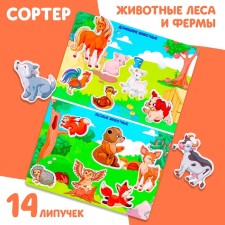 Developing Velcro game. Sorter 