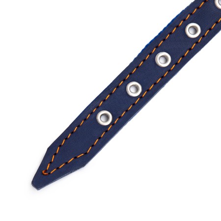 Collar combined leather/tarpaulin, dimensionless, 56 x 2.5 cm, Osh 25-51 cm, blue-4
