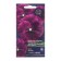 Flowers of Viola "Magic", 5 pcs,