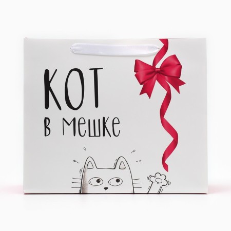 Gift Laminated horizontal package, packaging, “Cat in a bag”, Ml 23 x 27 x 11.5 cm-1