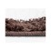 Bathroom rug Rossel BM-5705