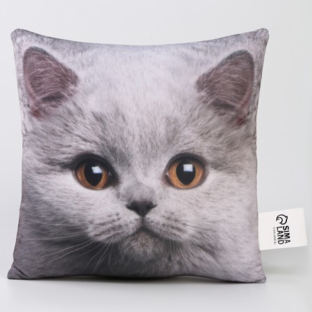 Antistress pillow "British"-2