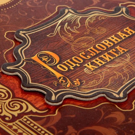 The genealogy book "Family History", 27 sheets, 24.5 x 29.2 cm-4