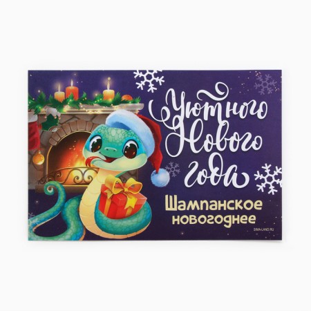 Stick on the bottle "Champagne New Year", 12 x 8 cm.-1