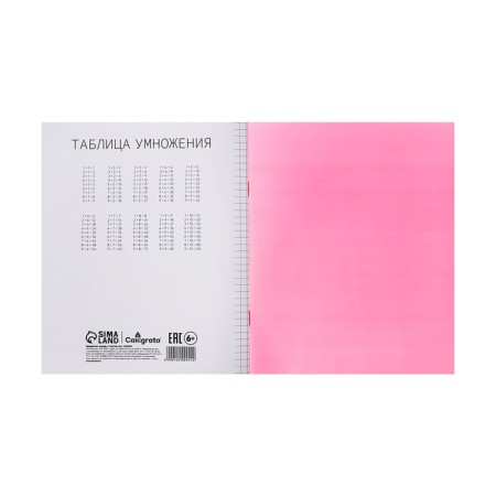 Notebook 12 sheets in the Calligrata "red" cage, plastic cover, with a multiplication table, an offset unit-4