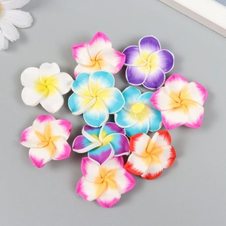 Bead for creativity PVC "plumeri" mix 1.1x3.3x3.3 cm