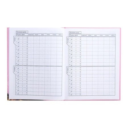 Universal diary for grades 1-11 Milashka, hard cover, matte lamination, 3D foil, 40 sheets-6