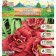 Lilenik "Stellar Double Rose", rr I, 1 pc, spring 2024
