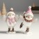 Polystone souvenir "Tick in a hat and scarf, on skates" MIX 9.5x7.5x15 cm