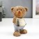 Souvenir Polystone "Cute Bear" mix 15x9.5x6.5 cm