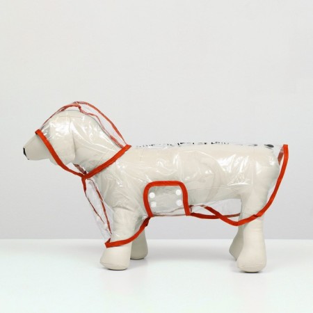 Dog raincoat, size M (DS 26, OG 38-41, Osh 40 cm), red-4