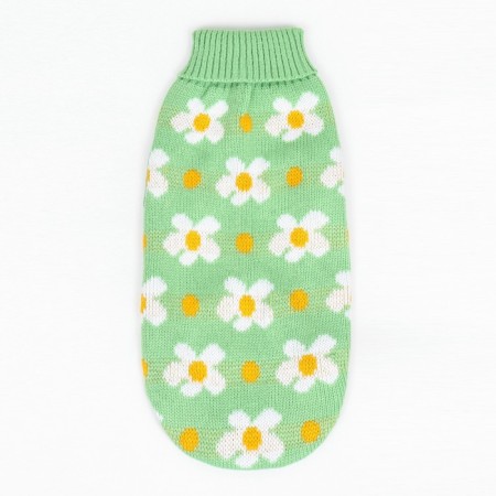 Swim "Chamomile", size XL (DS 40, Osh 33, OG 50 cm), green-6