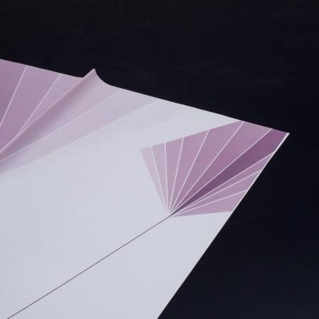 Flower film, 57 x 57 cm-1