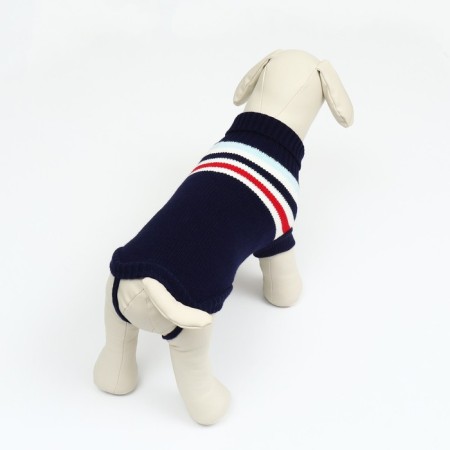 Sweater "stripes", s (ds 23, Osh 23, og 26-45 cm), blue-3