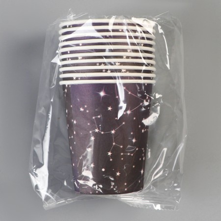 A single -single paper cup "space", 250 ml-3