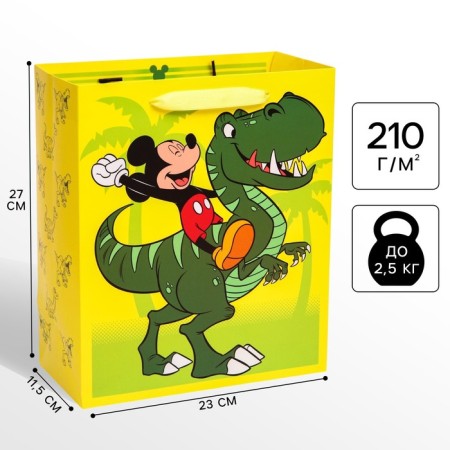 Gift package, 23x27x11.5 cm, packaging, Mickey Mouse