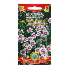 Семена Гвоздика травянка Арктик файр