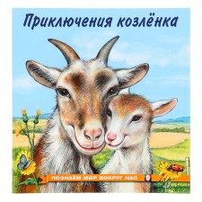 “We know the world around us. Adventures of the goat 