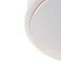 Jolly lamp LED 12W 6000K White D.21 cm