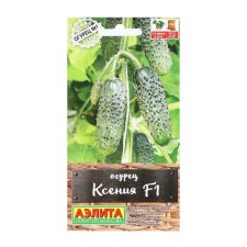 Cucumber seeds 