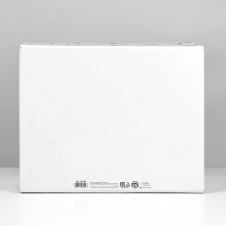 Folding box "Cozy House", 31.2 x 25.6 x 16.1 cm, New Year-3
