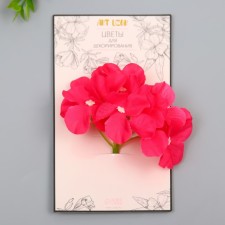 Flowers for decorating 