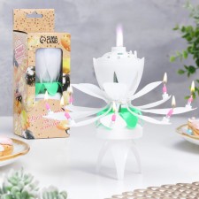 Candle for the cake musical 