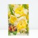 Gladiolus Baggi, 12/14 rr, 6 pcs. Spring 2024