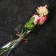 Package for flowers, cone, 8+15*70cm, transparent