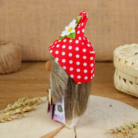 Brownie amulet with Euro, 20 cm, mix-4