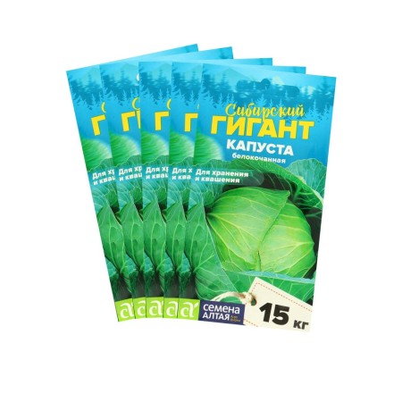 White cabbage seeds "Siberian giant", set 5 pcs