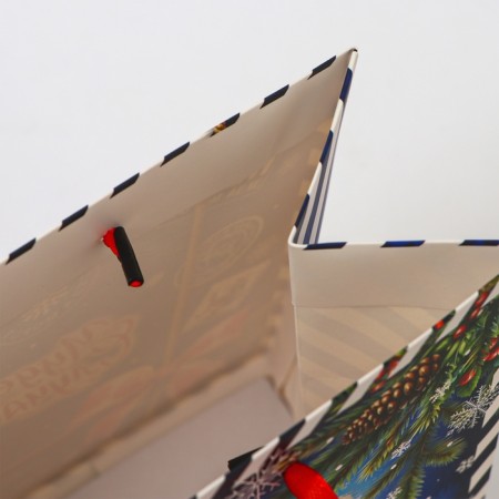Laminated packet "Miracles happen", MS 23 × 18 × 10 cm-2