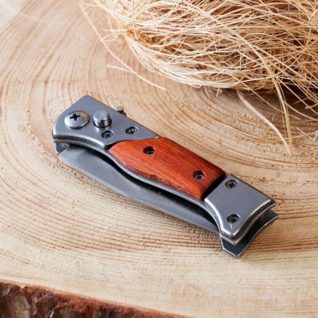Folding "Pescar" 17cm, blade 74mm/2.2mm blade-2