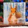 New Year's napkins Paper Home Classic "Squirrel", 3 layers, 33x33 cm, 20 pcs
