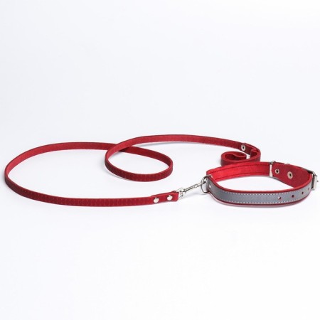 Set of collar (34-45x2 cm) reflective and leash (130x1 cm), red-6