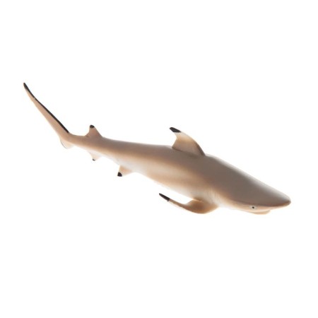 Figure "Rifting shark"-1