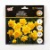 Narcissus Dick Wilder, river 12/14, 4 pcs, autumn 2024