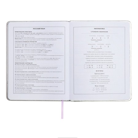 School diary for grades 1-11 "cat", firm covering with foam, artificial leather, application, foil embossing, liesse, 48 sheets, universal cheat sheet, block 80g/m2-11