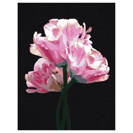 Picture on numbers on the black canvas "Pink Flowers", 30 × 40 cm
