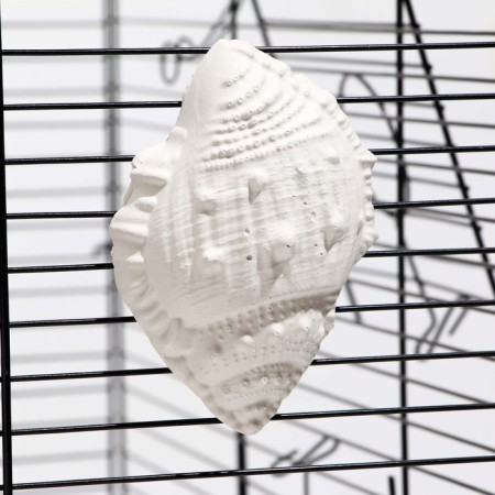 Mineral stone "Pigger" for birds, a shell with coal, 90 g-3