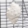 Mineral stone "Pigger" for birds, a shell with coal, 90 g