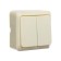 Luazon Lighting "League" switch, 10 A, 2 keys, invoices, beige