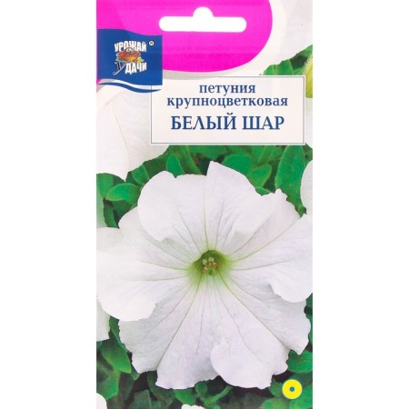 Flowers of petunia large -flowered "White Shar", 0.05 g