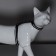 Cat for cats, width 1 cm, reflective, Osh 16.5-27 cm, fire 21-35 cm, black