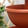 Cascade for flowers "Libya", terracotta color