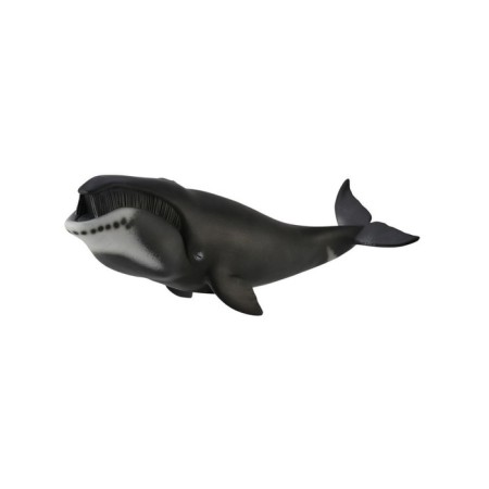 Figure Greenland whale